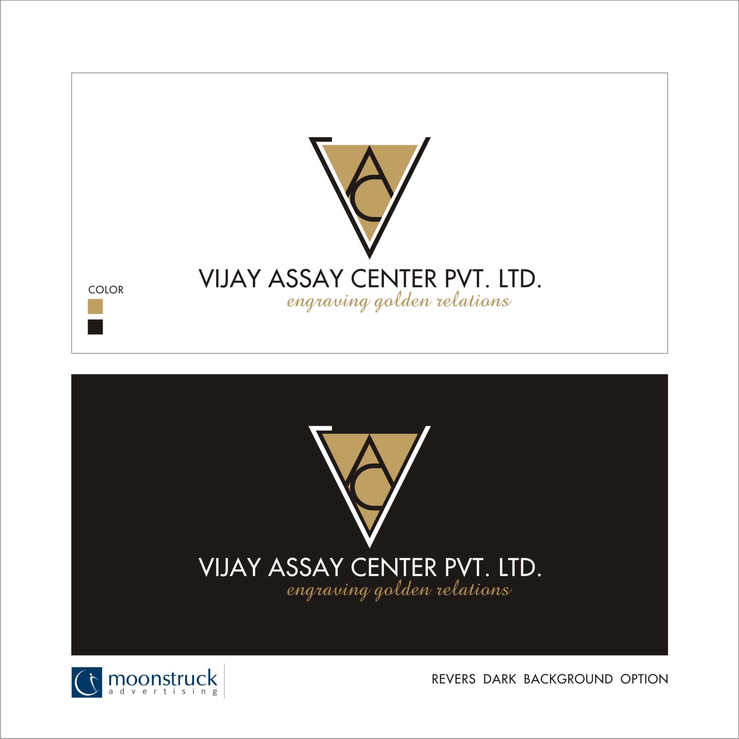 Vijay Assay Logo 